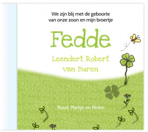 Fedde kaartje - Midden Rechts WEB